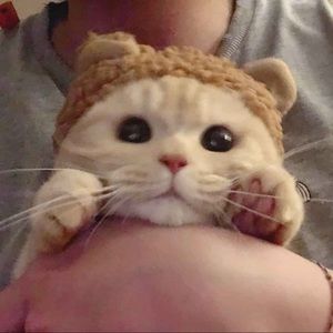 Meet your Posher, Victor